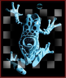 thumbnail of I_O_chess_b.PNG