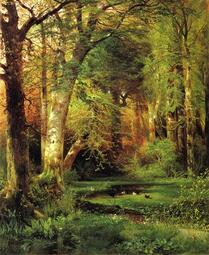 thumbnail of forest-scene-1870.jpg!Large.jpg