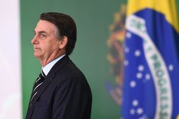 thumbnail of bolsonaro-flag.jpg