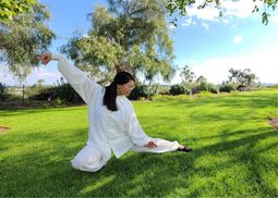 thumbnail of The Moving Meditation: A Tai Chi Journey Begins with One Step.jpg