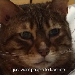 thumbnail of cat-just-want-people-love-me.jpg