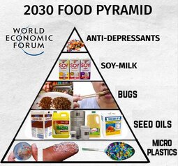 thumbnail of 2030 food pyramid.jpg