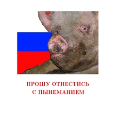 thumbnail of Прошу отнестись с пынеманием.jpg