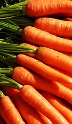 thumbnail of carrots.jpg