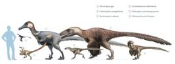 thumbnail of Dromaeosaurs.jpg