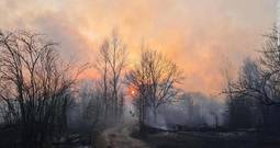 thumbnail of view-of-chernobyl-forest-fire.jpg