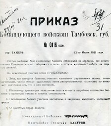 thumbnail of Химическое оружие против тамбовских крестьян, 1921 г.jpg