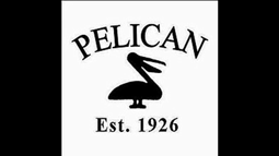 thumbnail of QAnon_ The Pelican Brief [HD] [720p].mp4