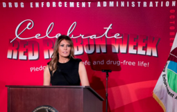 thumbnail of melania red ribbon wk 1.PNG