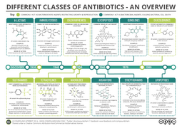 thumbnail of Antibiotics Guide.png