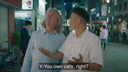 thumbnail of cats_in_japan.mp4