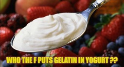 thumbnail of gelatin yogurt.jpg