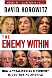 thumbnail of The Enemy Within__.JPG