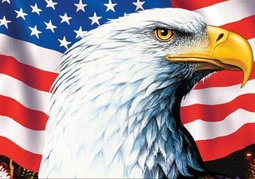 thumbnail of eagleflag-usa.jpg