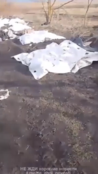 thumbnail of 5722752.mp4