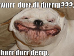 thumbnail of herp derp.png