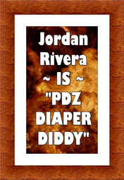 thumbnail of PDZ DD 01.jpg