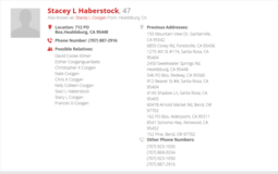 thumbnail of Screenshot_2020-05-15 Stacey Haberstock Public Data.png