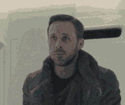 thumbnail of 2049.gif