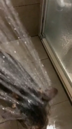 thumbnail of kitty shower.mp4