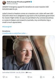 thumbnail of Stella Assange_flight.JPG