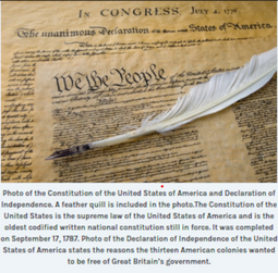 thumbnail of constitution1.png