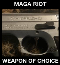 thumbnail of MAGA riot weapon.png