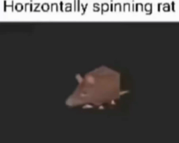 thumbnail of spinning rat dies