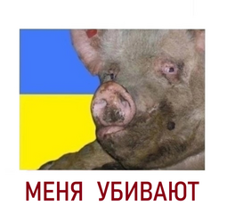 thumbnail of 6.png