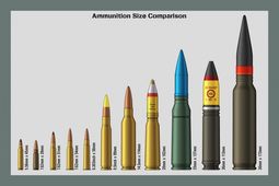 thumbnail of ammo-size-comparison.jpg