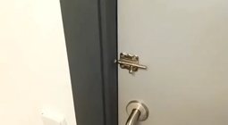 thumbnail of meme-door-lock-doh.mp4