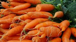 thumbnail of Carrots_at_Ljubljana_Central_Market.JPG