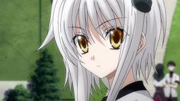 thumbnail of koneko12.jpg