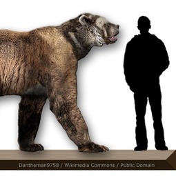 thumbnail of Giant-Short-Faced-Bear.jpg