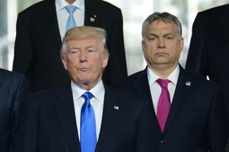 thumbnail of tramp-i-orban-na-sammite-nato-v-bryussele_a87.jpg