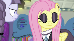 thumbnail of Fluttergoth.png