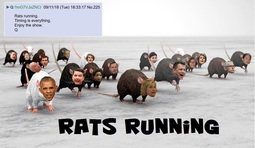 thumbnail of rats2.jpg