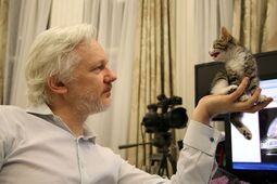 thumbnail of MAIN-Julian-Assange-with-his-new-cat-3364804260.jpg