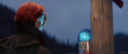 thumbnail of BowieFellToEarth.gif