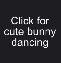 thumbnail of bunnydance.mp4