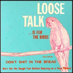 thumbnail of LooseTalkBird.jpeg