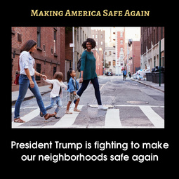 thumbnail of SafeAgain8-TrumpSuccess.jpg