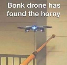 thumbnail of Bonk drone.jpeg
