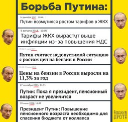 thumbnail of политика-Путин-борьба-ешкин-крот-4628536.jpeg
