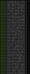 thumbnail of 100 or 200.png