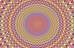 thumbnail of Optical Illusion.jpg