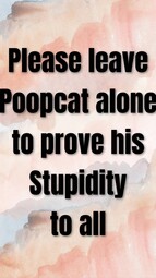 thumbnail of poopcat stupidity.jpg