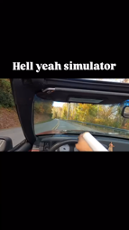 thumbnail of hell yeah simulator.mp4