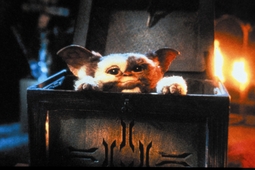 thumbnail of gremlins2.jpg