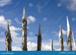 thumbnail of sharp-wooden-spikes-9368962-1443124553.jpeg
